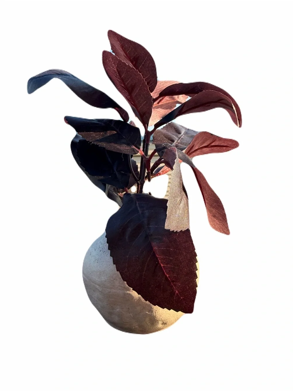 HEARTH & HAND NWT 6.5